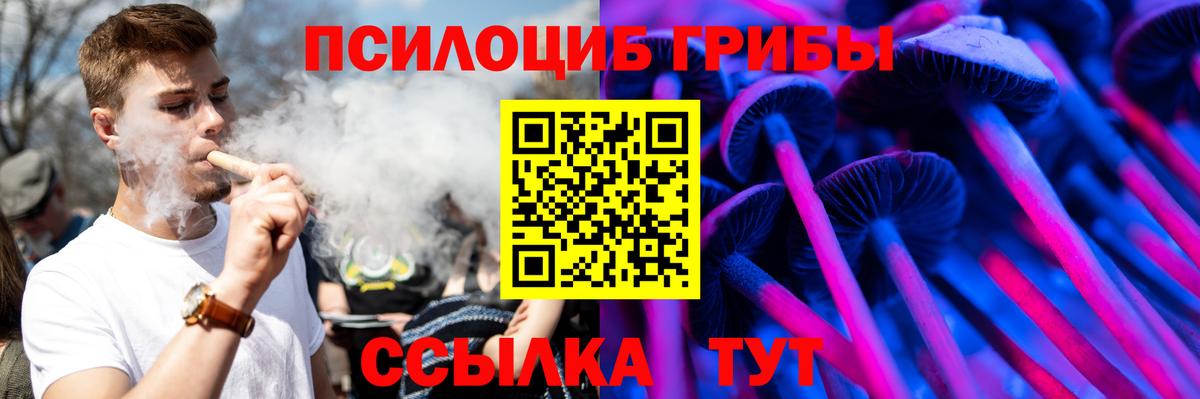 Псилоцибиновые грибы прущие грибы Обь