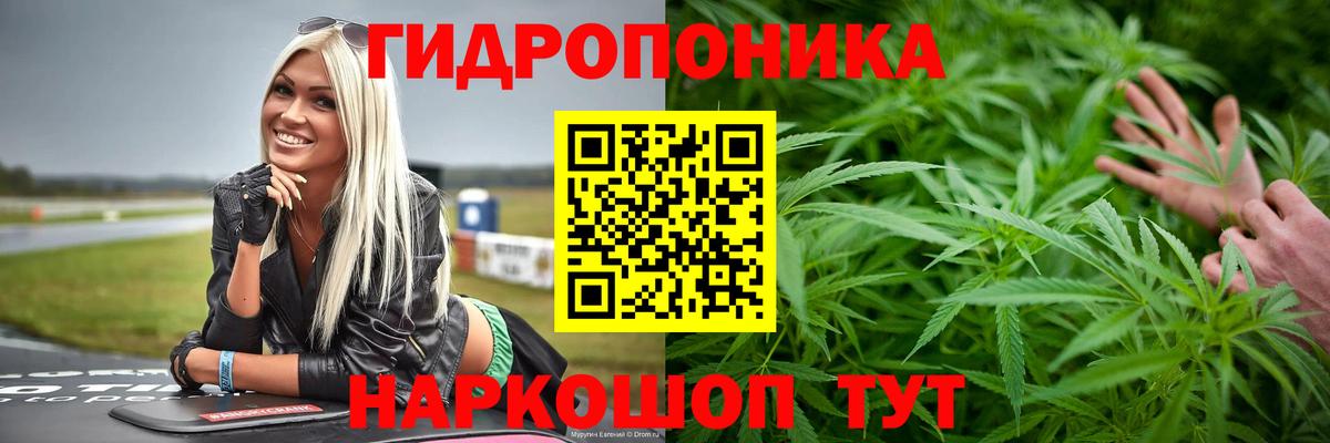 Обь  Канабис конопля  Канабис Bruce Banner  Бошки Шишки VHQ  Вход с VPN  Каннабис марихуана 